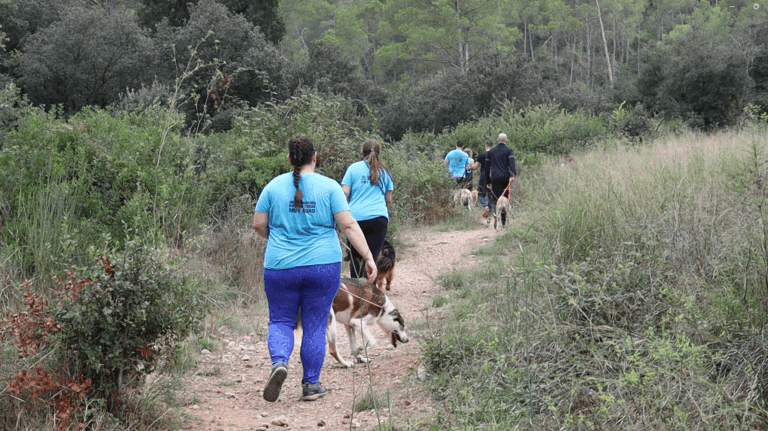 Voluntarios de la Fundación Patas Arriba durante una jornada en una protectora de Barcelona.