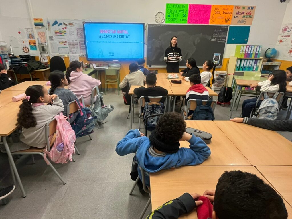 Educación bienestar animal