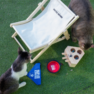 Pack Gatuno