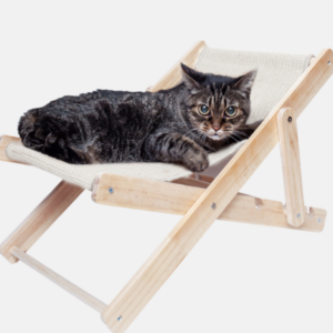 Silla plegable para gatos