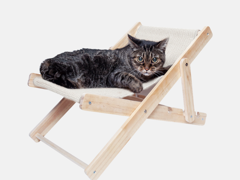 Silla plegable para gatos